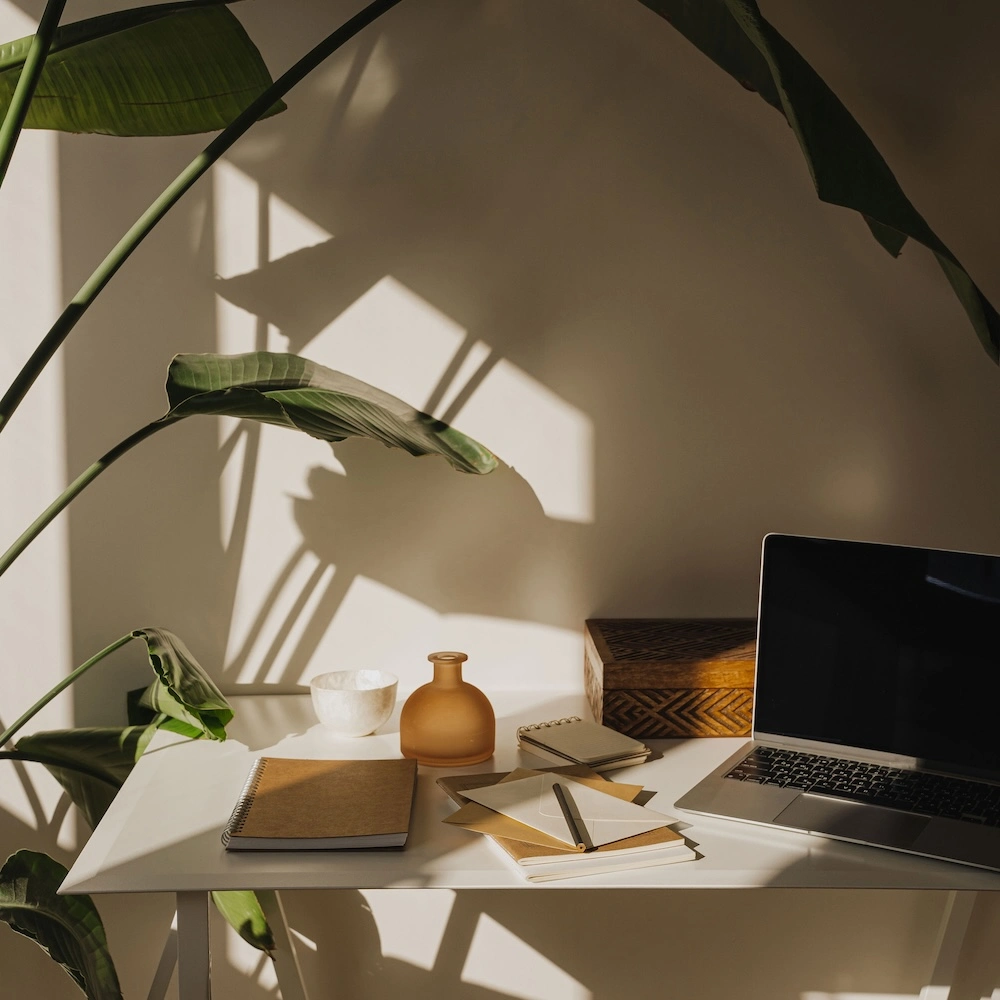 W&DG - Partenaire Stratégique - Accompagnements - Développement - Identité de marque et présence digitale