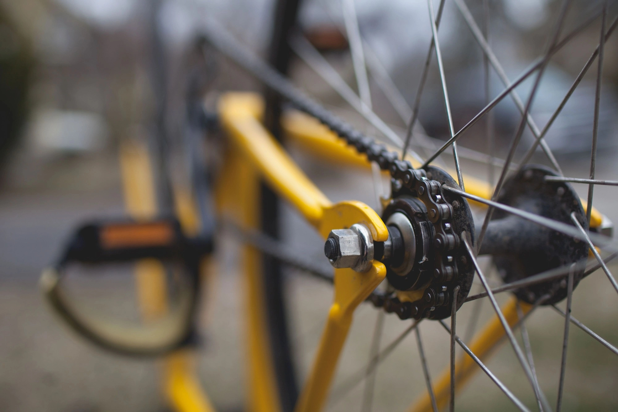 Bike'Co, Solution vélo, Salon-de-Provence, Photographie, Crédits photos : Unsplash