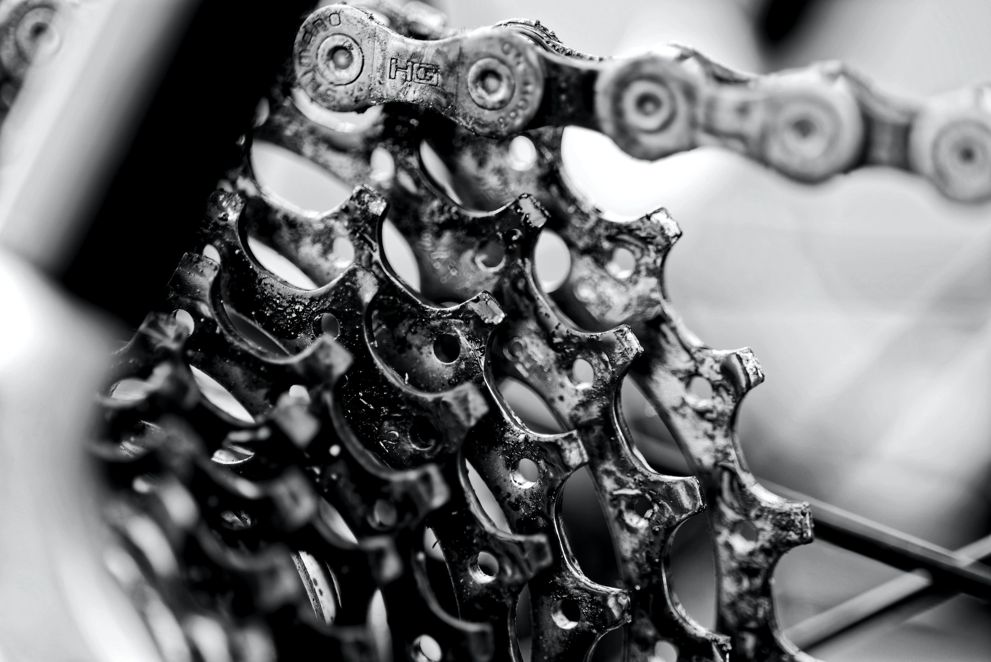 Bike'Co, Solution vélo, Salon-de-Provence, Photographie, Crédits photos : Unsplash